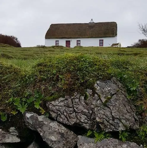 Aran Thatch Feriehus *